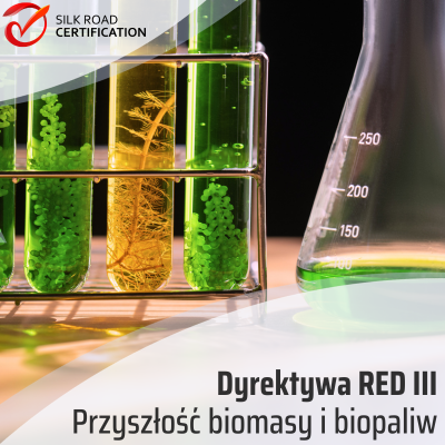 Dyrektywa RED III: przyszłość biomasy i biopaliw. Kluczowe zmiany.